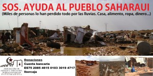 ^734E41FE53FFBEACDC6CF83C2D0495D15AF778153F37AFB9BD^pimgpsh_fullsize_distr